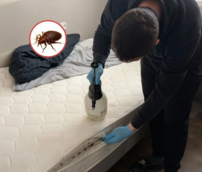 Technicien traitant un matelas contre les punaises de lit à Châtenay-sur-Seine